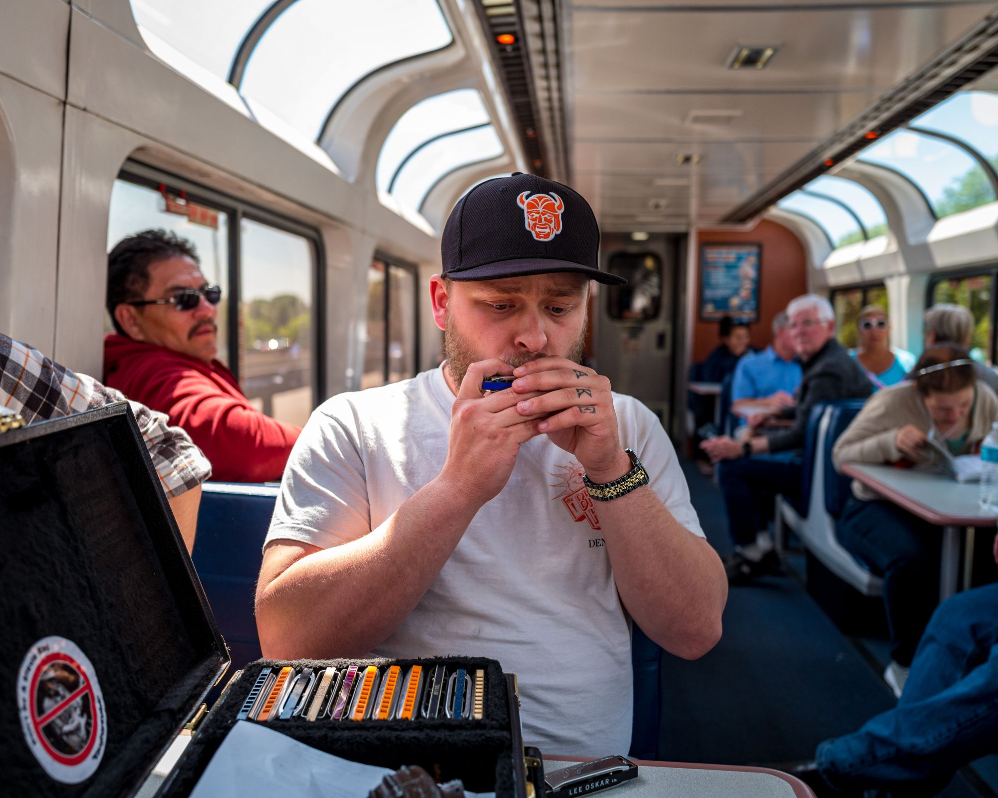Amtrak California Zephyr Sightseer Harmonica Band Portrait