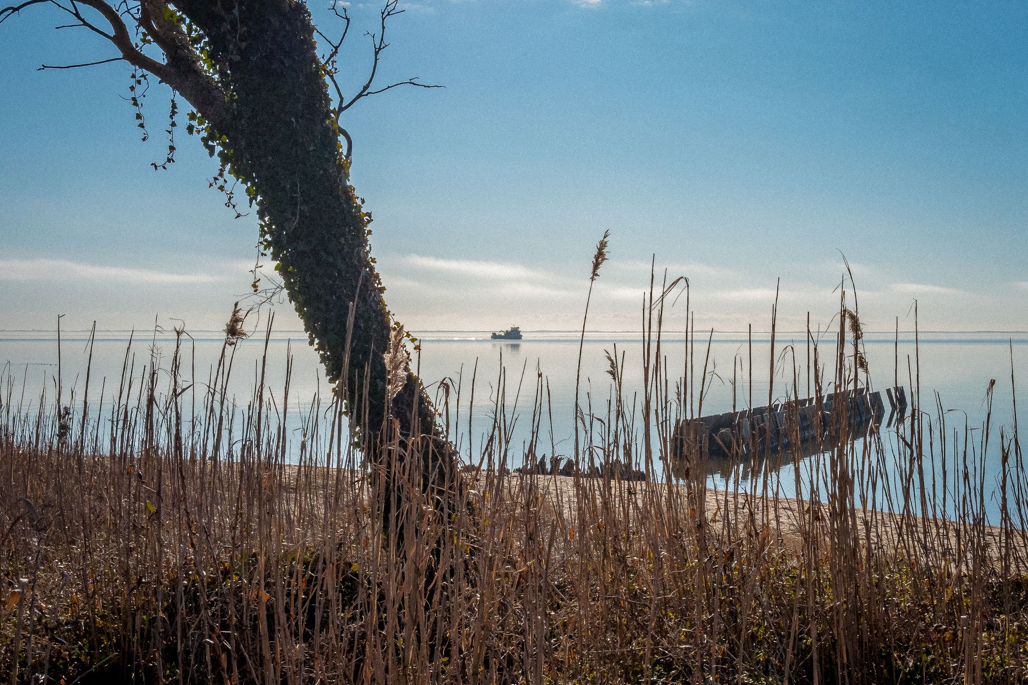 Foster Avenue Park Great South Bay Sayville New York Long Island