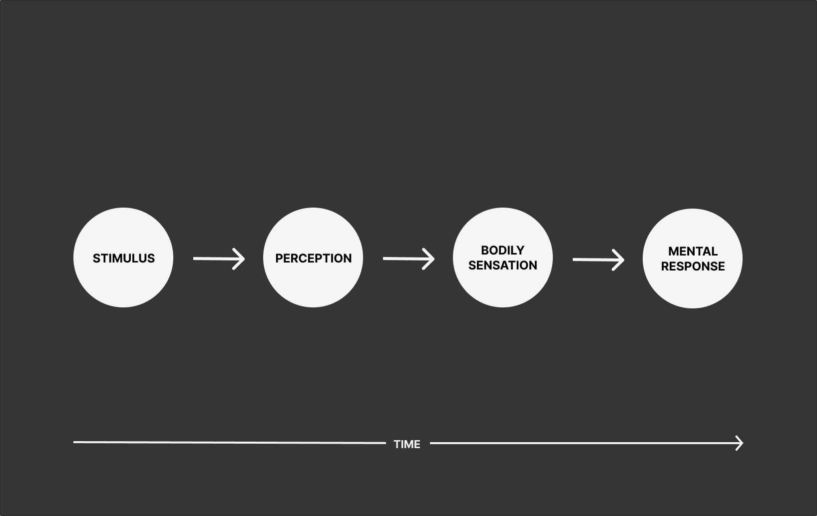 Infographic stimulus-perception-bodily sensation-mental response © 2023 Michael Saltzman